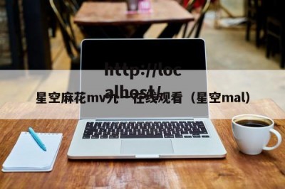 星空麻花mv九一在线观看（星空mal）
